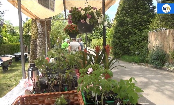 Plantenruilbeurs op volkstuinencomplex Thurlede