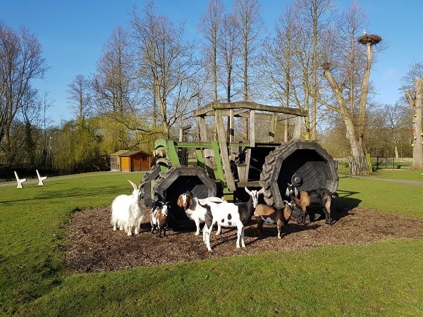Kinderboerderij ’t Hoefblad is vanaf vandaag weer beperkt open
