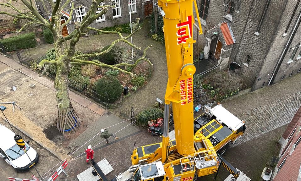 Foto's vanaf hoogte vanaf molen De Walvisch