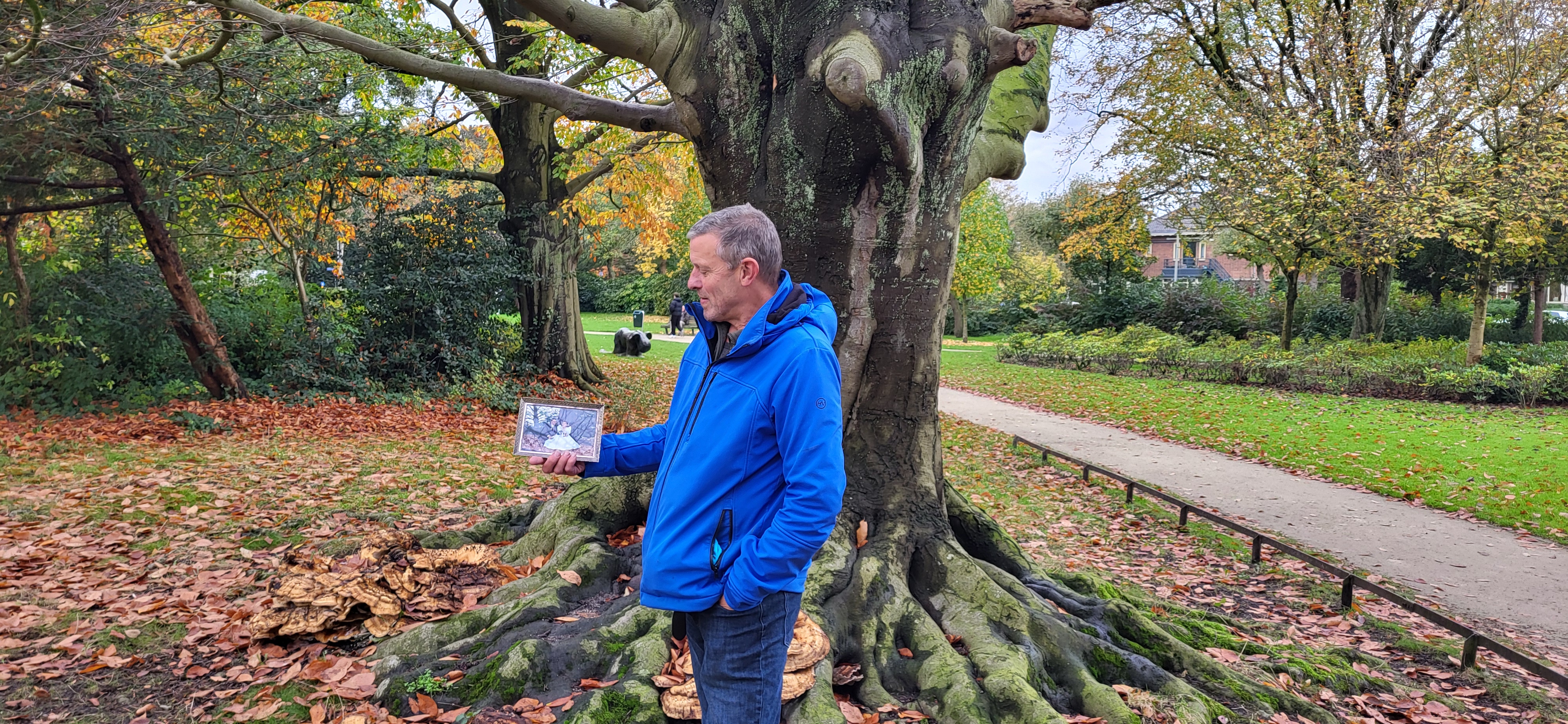 Oosterse beuk aangetast door reuzenzwam