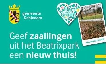 Zaailingen uit het Beatrixpark in jouw tuin!