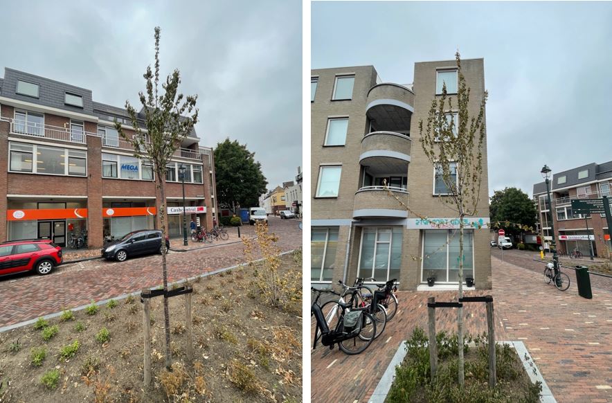 'Het probleem van niet op tijd water geven, speelt al meer dan tien jaar'  