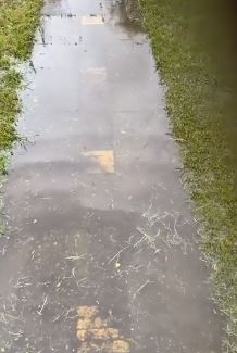 Er komt weer een bak regen aan; Delfland gaat alvast bemalen