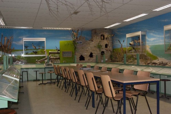 'Een onjuist bericht van de gemeente over De Boshoek'