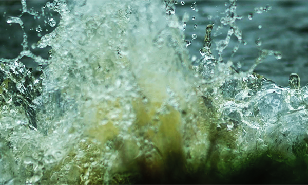 rain