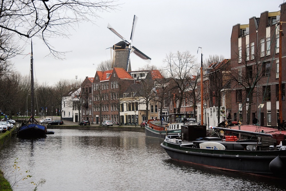 Tassen-trends in Schiedam: Wat wordt het meest gekocht?