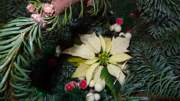 Gemeente Schiedam wenst iedereen fijne en veilige feestdagen