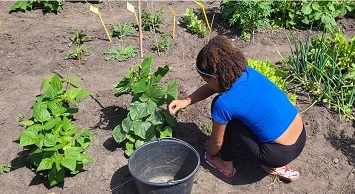 Schooltuinen heten voortaan kindertuinen