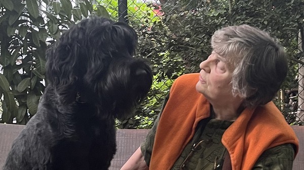 ‘Nooit Vertoonde Ontmoetingen' bij KunstWerkt