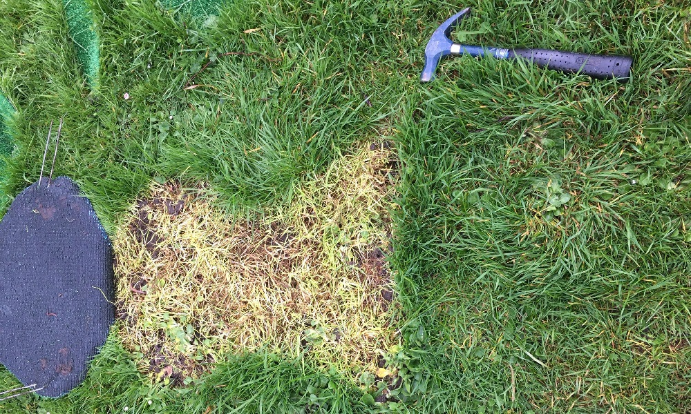 Onthulling kunstwerk in park De Plantage a.s. zondagmiddag