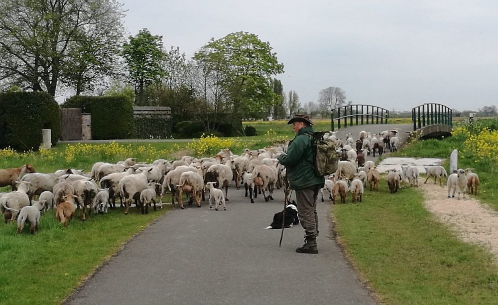 Aanstaande zondag is het themadag met natuurgids en imker