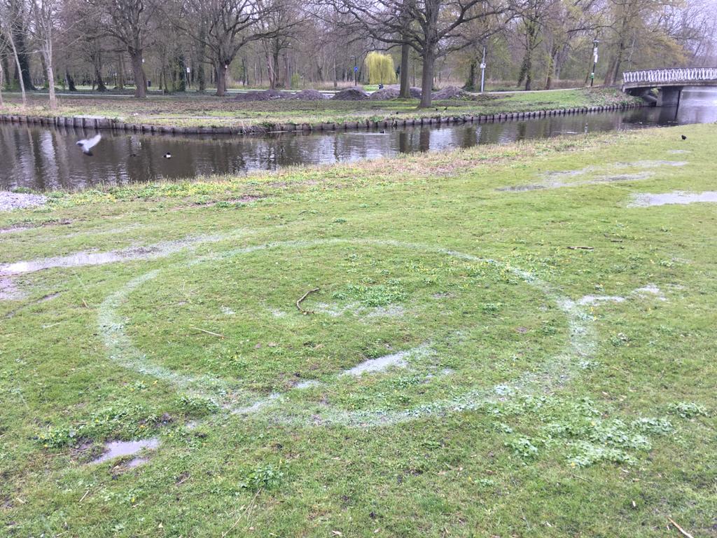 Gemeente brengt opnieuw cirkels aan op het gras in het park