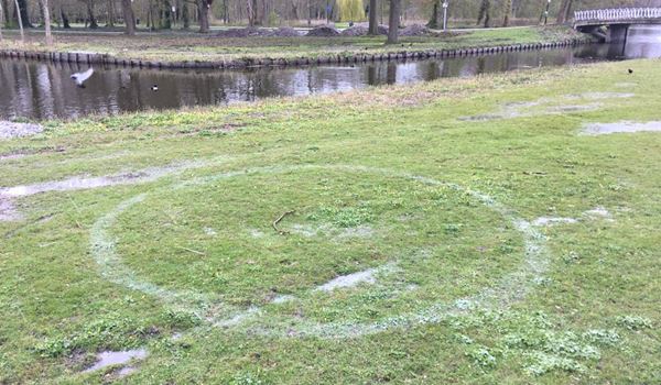 Gemeente brengt opnieuw cirkels aan op het gras in het park