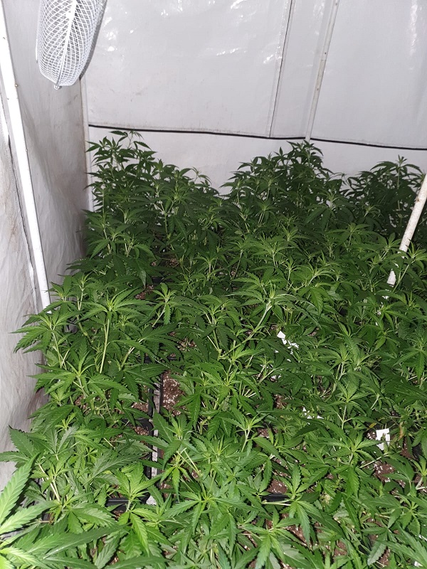 Het water kwam van boven, van een hennepkwekerij 