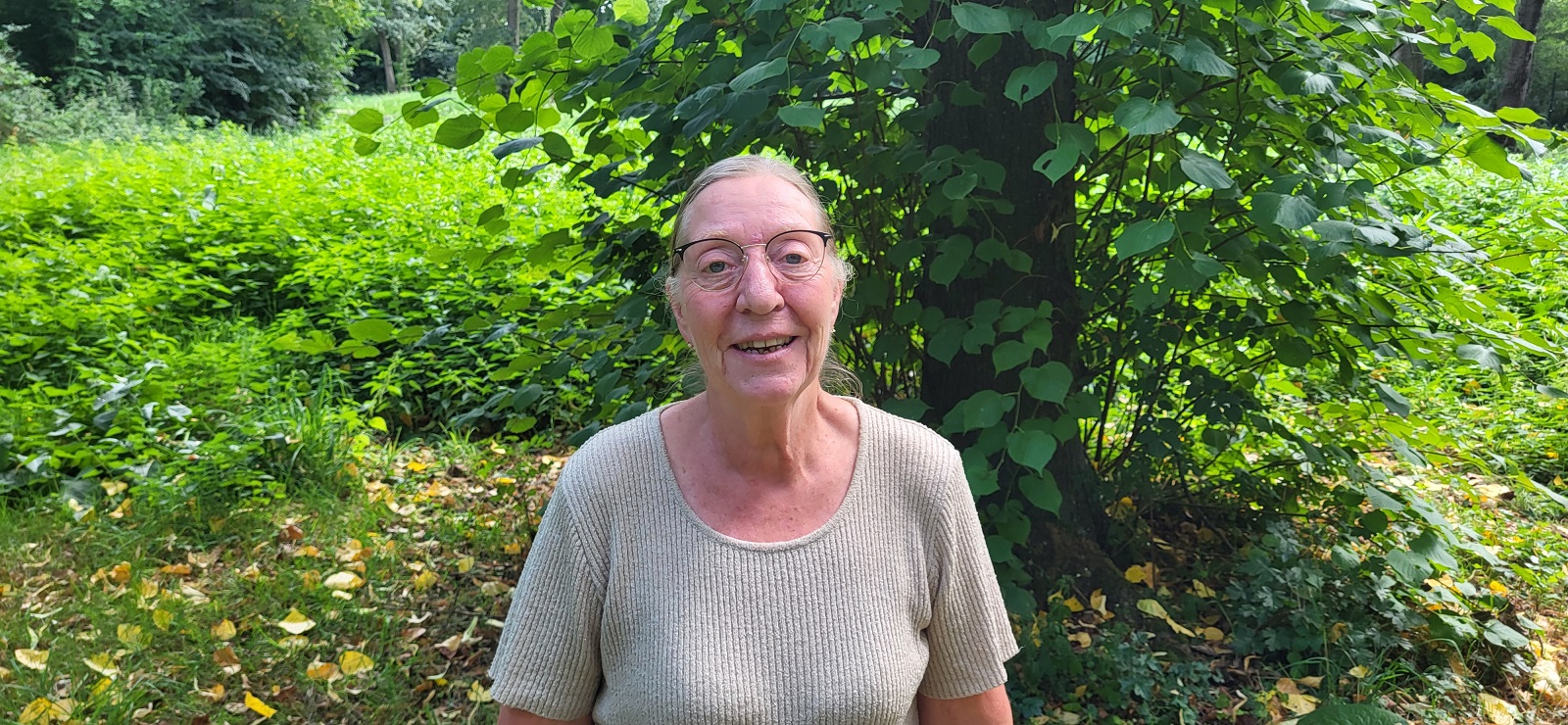 Schadelijke Aziatische hoornaar rukt op in Schiedam