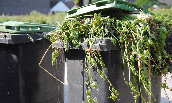 Vandaag is de zomerregeling ingegaan voor legen gft-containers