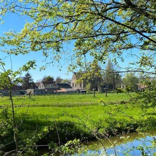 Onthulling speciale boom ter nagedachtenis aan Herman Ketel