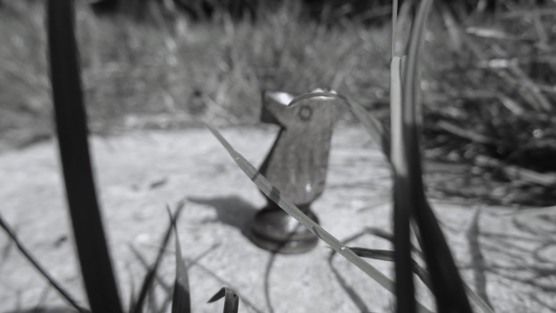 Schaakvereniging Het Zwarte Paard ontvangt Koninklijke Erepenning
