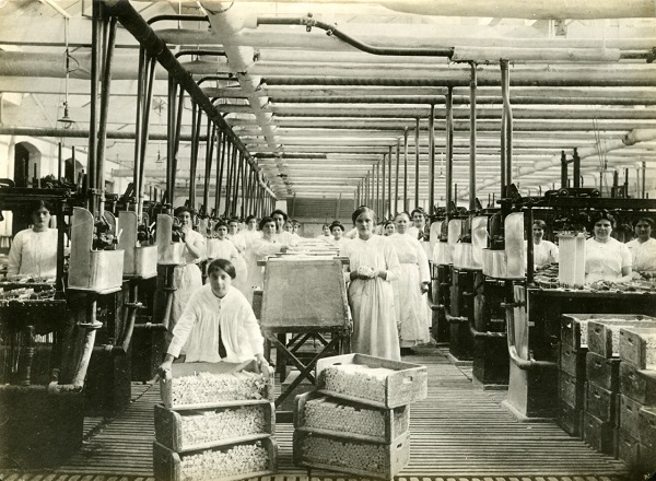 Schiedam had ooit een bloeiende maar stakende kaarsenfabriek