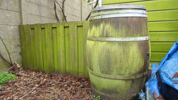 Word een Watervanger en win een regenton