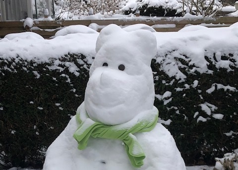 Sneeuwpoppen die een glimlach op je gezicht toveren