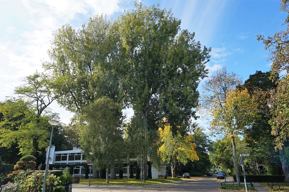 'Het doet ons verdriet dat onze integriteit in twijfel getrokken wordt'