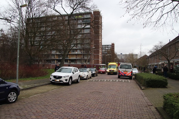brand2