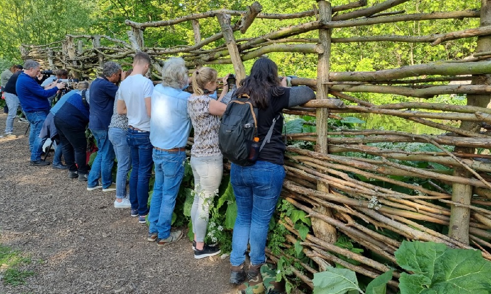 Eind februari wordt nieuwe duurzame vogelkijkwand geplaatst