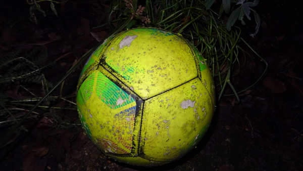 Stem op je favoriete sport(st)er, talent en sportploeg van 2025