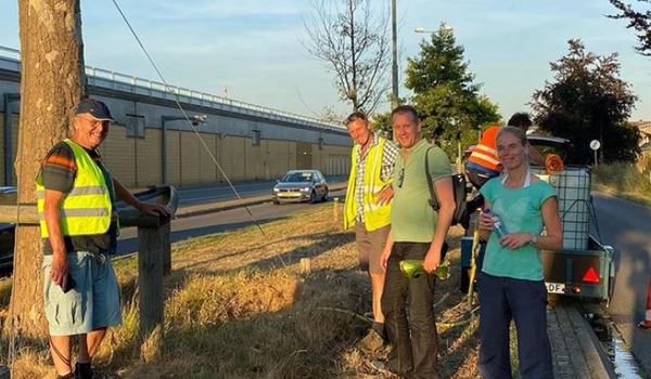 'Gemeente kapt jonge bomen en legt zich geen herplantplicht op'
