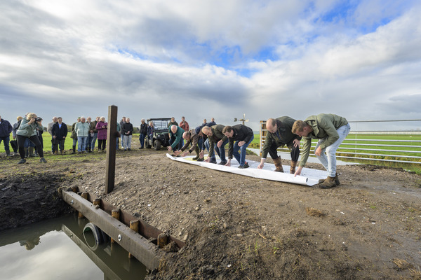 Landingsbaan voor weidevogels opnieuw  uitgerold