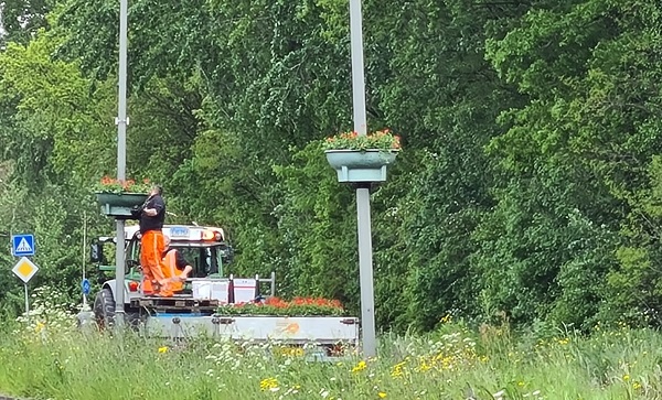 De natuur gaat ook de lucht in