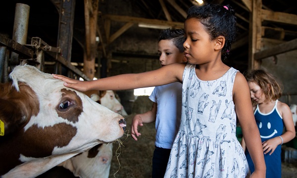 Het buitenleven bekijken in Schiedam, Schipluiden en Rotterdam