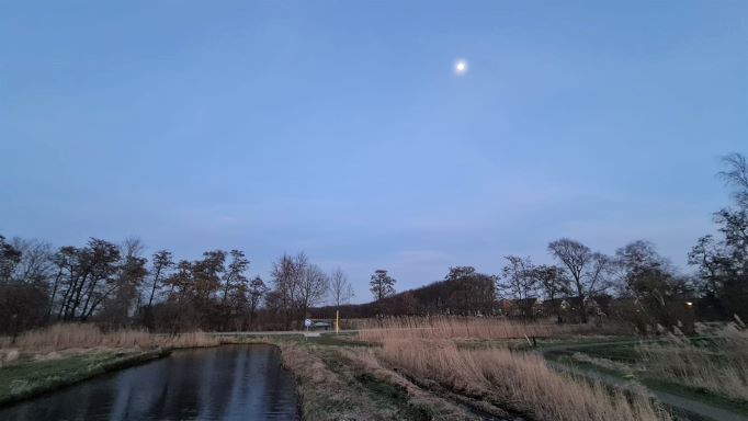 Welke planten en dieren zullen zich hier thuis gaan voelen? 