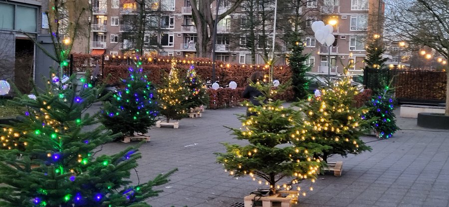 Stedelijk Gymnasium Schiedam is in kerstsfeer