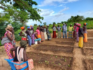 Ontwikkelingssamenwerking in Gambia & Senegal