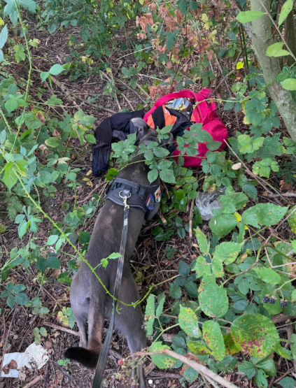 Politiehond Buddy op zoek naar koperdief