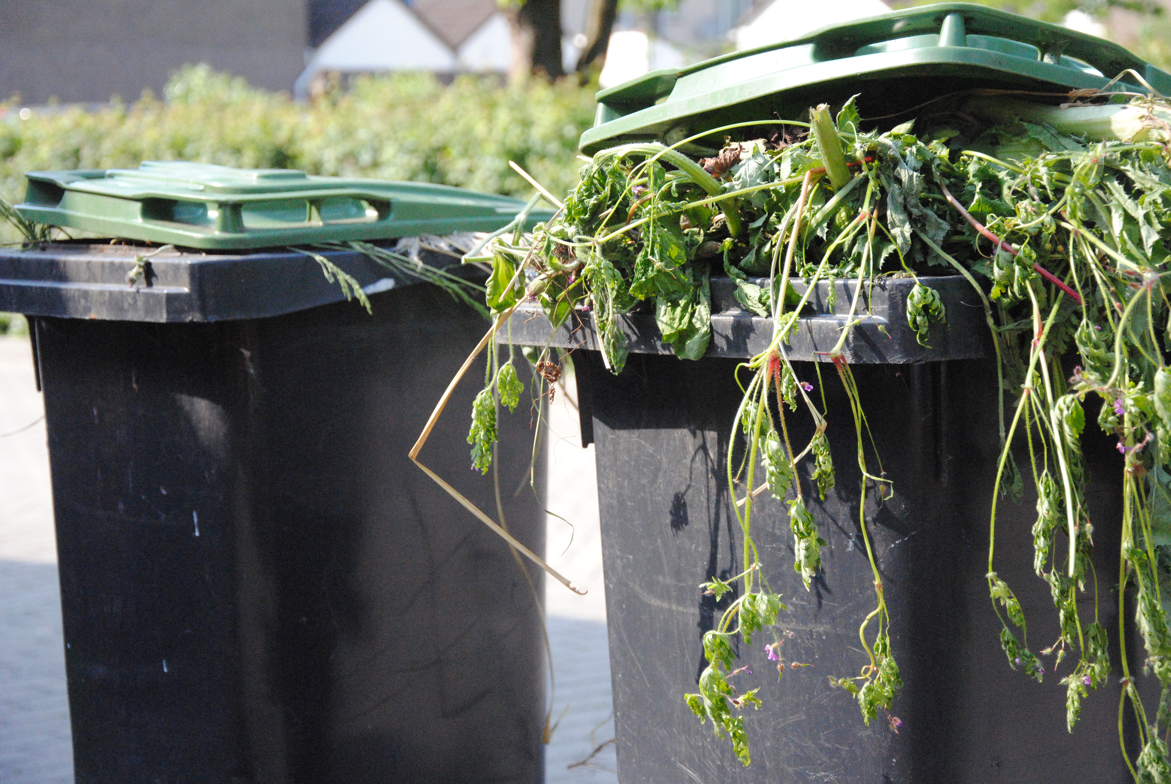 Morgen kliko/container vroeger naar buiten; milieustraat eerder dicht
