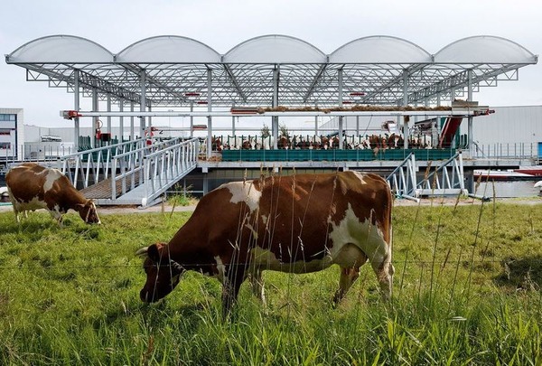 Inspiratiemiddag Parels van Schiedam op 12 juni