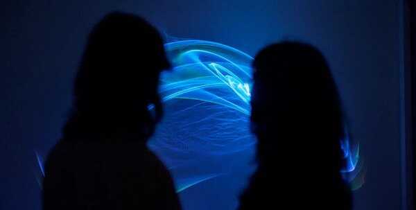 Alle singles verzamelen!