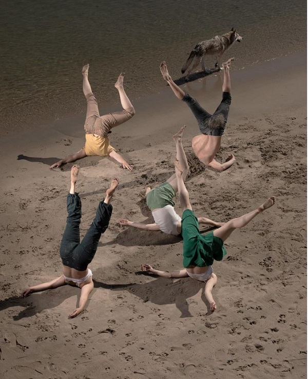 ‘Kop in het Zand’ op Stadserf Schiedam