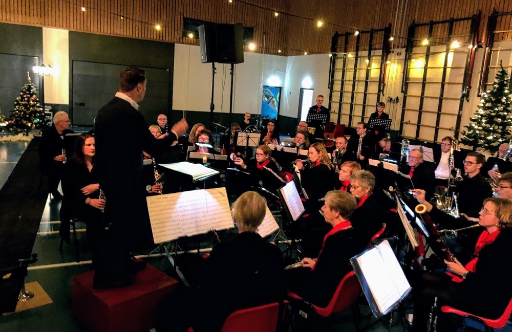 Nieuwjaarsconcert Harpe Davids in de Dorpskerk