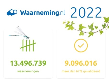 Natuurcafé met als thema... Waarneming.nl