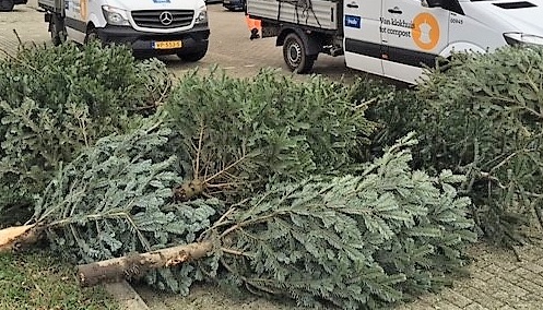 Op deze twintig locaties kun je de kerstboom kwijt