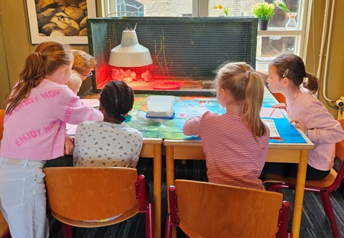 Alle activiteiten Parels  van Schiedam