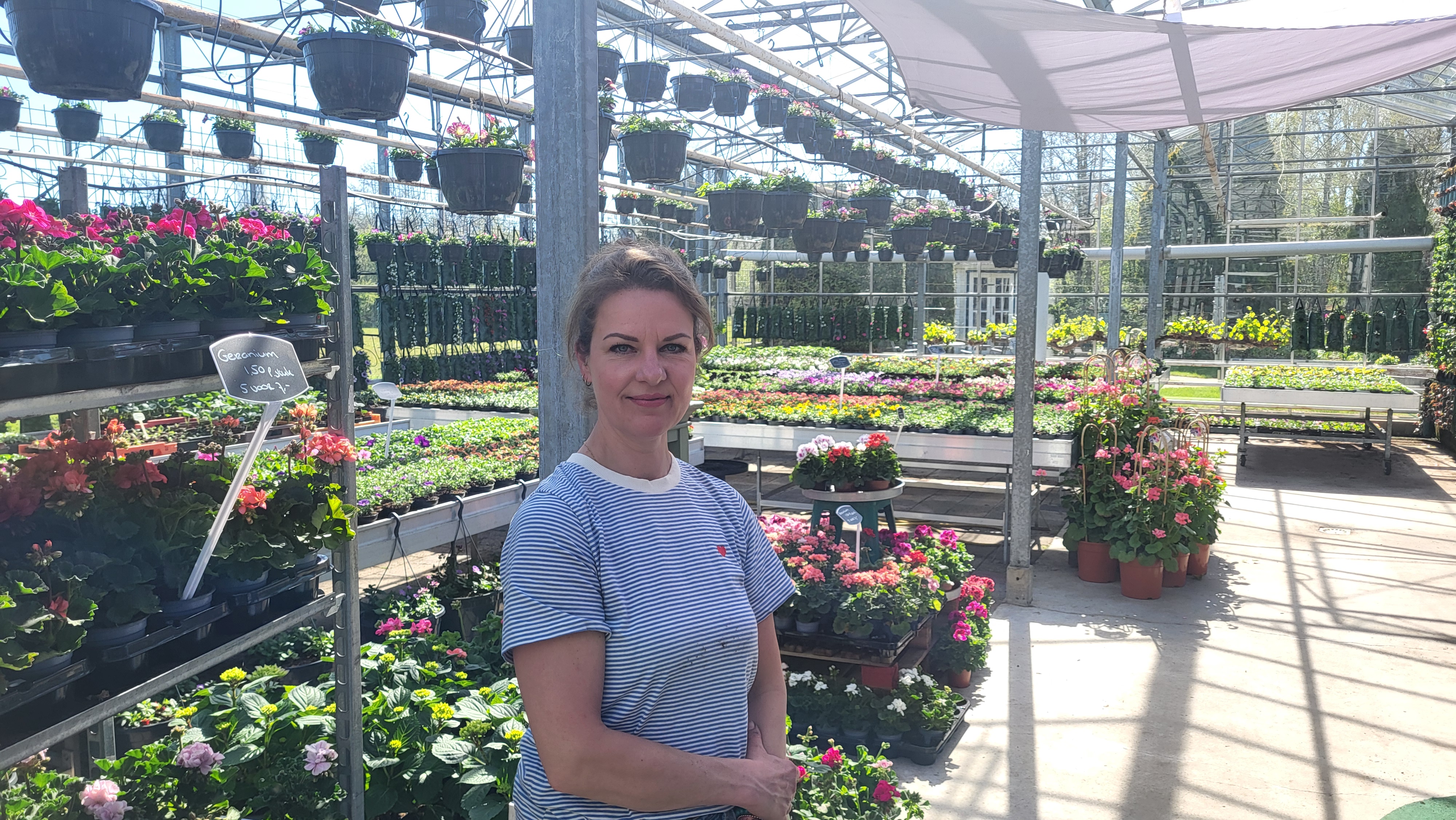 Bloemen en planten vrolijken tuin en balkon op