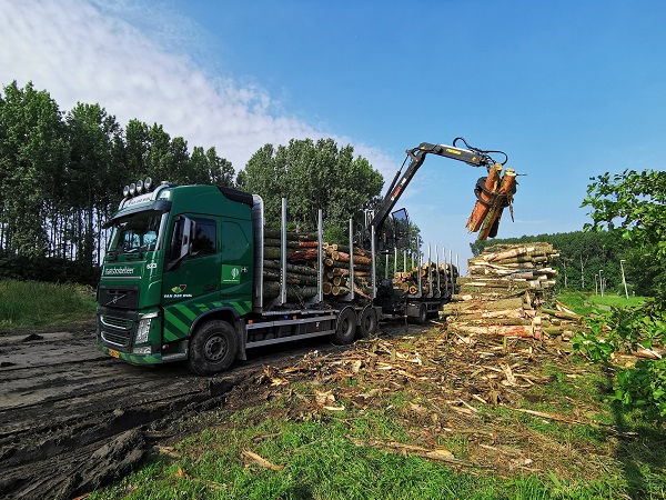 Staatsbosbeheer gaat bos uitdunnen in zuidrand Midden-Delfland