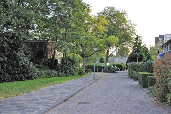 Reünie 'Jongens én meisjes uit Kethel Vogelbuurt 1960/1970’