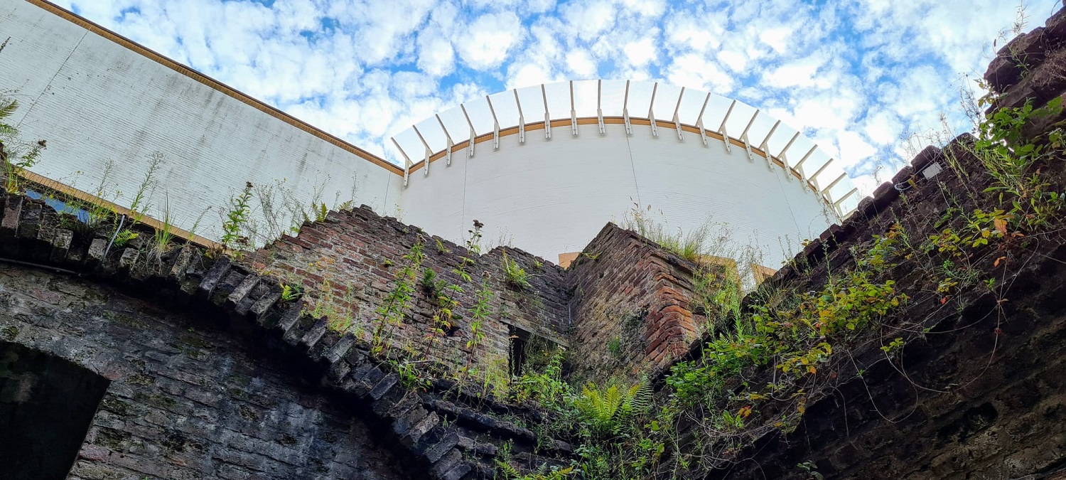 Een bijzondere foto om de dag mee te beginnen