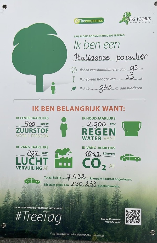 De negende TreeTag gaat naar (weer) een Italiaanse populier